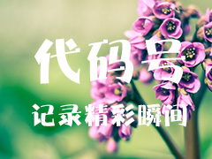 dedecms织梦会员上传图片需要输入后台目录怎么办