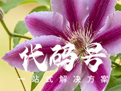 织梦怎么样取消后台登陆的验证码